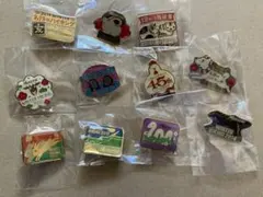 名鉄ハイキング 干支 ピンバッジ おまけ付き