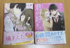 野いちご文庫 2冊セット ぎゅっとしててね？ ＆ ほんとはずっと、君が好き 恋愛