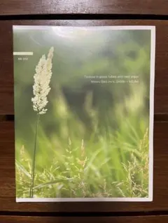 Minoru Sato + Asuna Texture in glass tub
