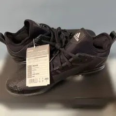 Item thumbnail for item 77cdf804-45b6-48c1-a278-b304bdbd2164