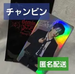 straykids dominate チャンビン　フォトカード