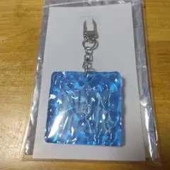 BMSG FES'25 ランダムウェーブキーリング レオ LEO