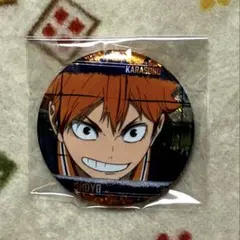 【ハイキュー】日向翔陽/場面写（缶バッジビスケット ゴミ捨て場の決戦）