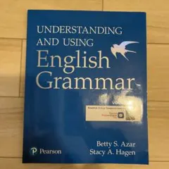 Understanding and Using Grammar Volume B