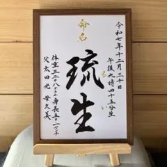 【もちこ様の専用ページ】書家が書く命名書（A4）フレーム付き②