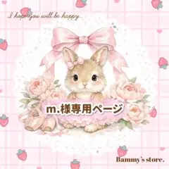 m.様専用出品♡ -¥60