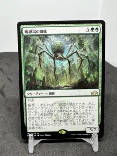 [Free] [JP] 孵卵場の蜘蛛