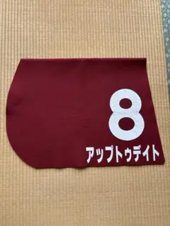 アップトゥデイト実使用ゼッケン
