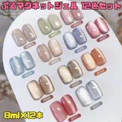 ✨️ ぷるマグネット ジェル ネイル 12色セット まとめ売り