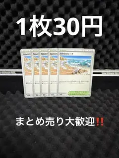 なみのりビーチ M1S メガシンフォニア