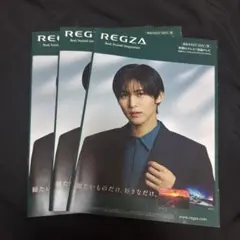 REGZA 総合カタログ 2024/夏 3冊セット