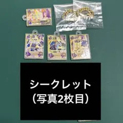 アイカツ！びっくらたまごvol.2 神崎 美月 星座 シークレット セット