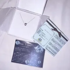 Item thumbnail for item b96748ee-e7da-4346-887a-9473d1d1a19c