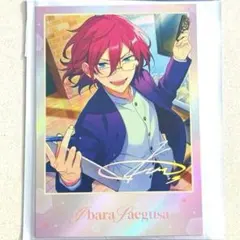 2025年最新】七種茨 中国の人気アイテム - メルカリ