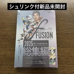 Item thumbnail for item 63a8d176-957b-400f-bfa4-f69c74c7a695