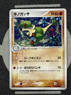 【美品】キノガッサ