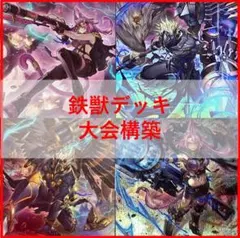 最安値 大会優勝構築 K9 原石 ドラゴンテイルデッキ ファイメナ 解説書