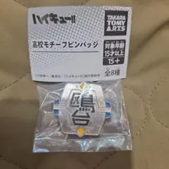 【ハイキュー!!】高校モチーフピンバッジ