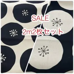 ラスト3点 SALE 2m2枚セット あんぱんドット オックス