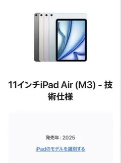ANAプレミアムメンバー限定 ロゴ刻印 iPad Wi-Fi 64GB 全日空 - メルカリ