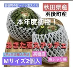 【7月8日収穫＆発送】秋田県羽後町産　秋田夏丸チッチェ　小玉スイカMサイズ2個入のサムネイル