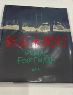 ONE OK ROCK PRIMAL FOOTMARK #14 2025