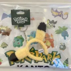 ポケパークカントー　PoKePARK KANTO ピカチュウ　キーホルダー　限定