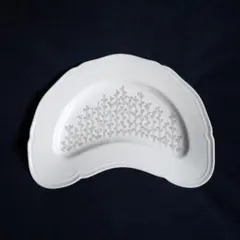 専用‼️ジノリ1735 皆川明 オリーヴァ プレート 21cm プレート　１枚 オリーヴァ プレート 21cm（リチャードジノリ ミナ