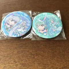 わんだふるぷりきゅあ！　缶バッジキャンディ　フルタ