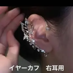 Item thumbnail for item a1581941-2097-46ec-94a9-ae71574bd3be