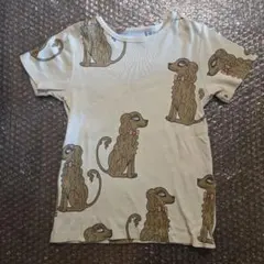 ミニロディーニ 犬 スパニエル柄 Tシャツ 100 110のサムネイル