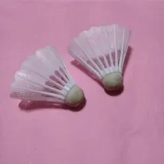 バドミントン 中古シャトル 使用済 シャトル5個 - メルカリ