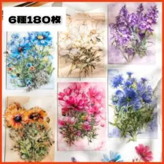 Item thumbnail for item 003146eb-77bb-4ede-903a-d8c7126a8a3a