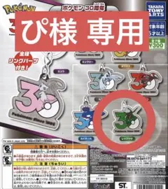 ぴ様専用 レックウザ