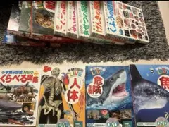 学研の図鑑LIVE 小学館の図鑑NEO まとめ売り 11冊 - メルカリ
