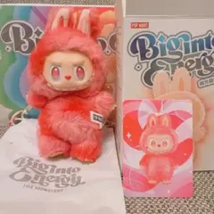 ラブブ　マカロン　ビッグイントゥエナジー　イニシャル　まとめ売り 2025年最新】Popmart labubu theの人気アイテム - メルカリ