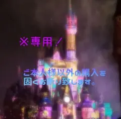 専用！