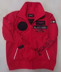 【極美品】AVIREX SR-71 BLACKBIRDジャケット Mサイズのサムネイル