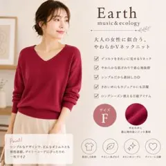 earth music&ecology Vネックニット 長袖 Fのサムネイル