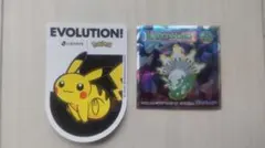 ピカチュウ&ジガルデ ステッカー