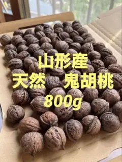 2025年最新】鬼胡桃の人気アイテム - メルカリ