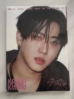 新品未開封！！Stray Kids KARMA accordion チャンビン