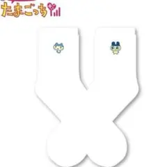 Item thumbnail for item c4324e91-0389-45ae-b08f-493aec878682