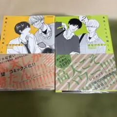 高良くんと天城くん 2巻セット