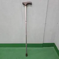 Item thumbnail for item 2e1a3f7c-e2dc-4650-9832-a0374358ea45