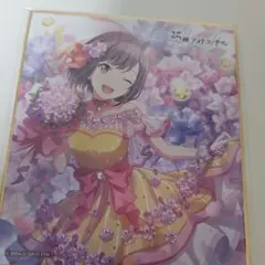 プロセカ ZOZOTOWN 東雲絵名 クリアファイル - メルカリ