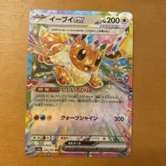 ポケモンカード　イーブイex