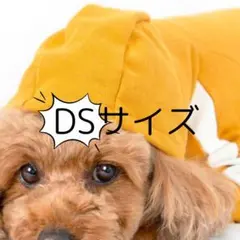 Item thumbnail for item 8ddbe05a-9a79-4db7-9409-7f5b63ce105f