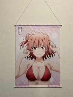 モーニング娘。 鞘師里保 全身タペストリー モーニング娘。 鞘師里保 全身タペストリー - メルカリ