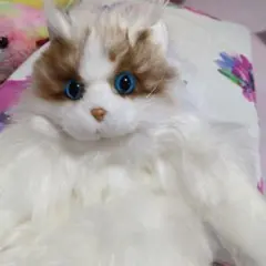 Item thumbnail for item 8dc98fb2-e7d9-482e-9c8c-c3a367ff8d7b